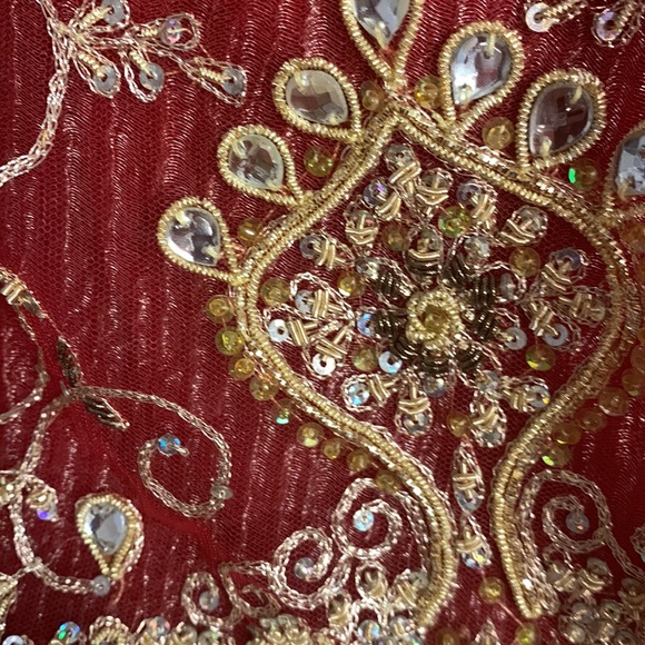 Lehenga Choli - Picture 11 of 14